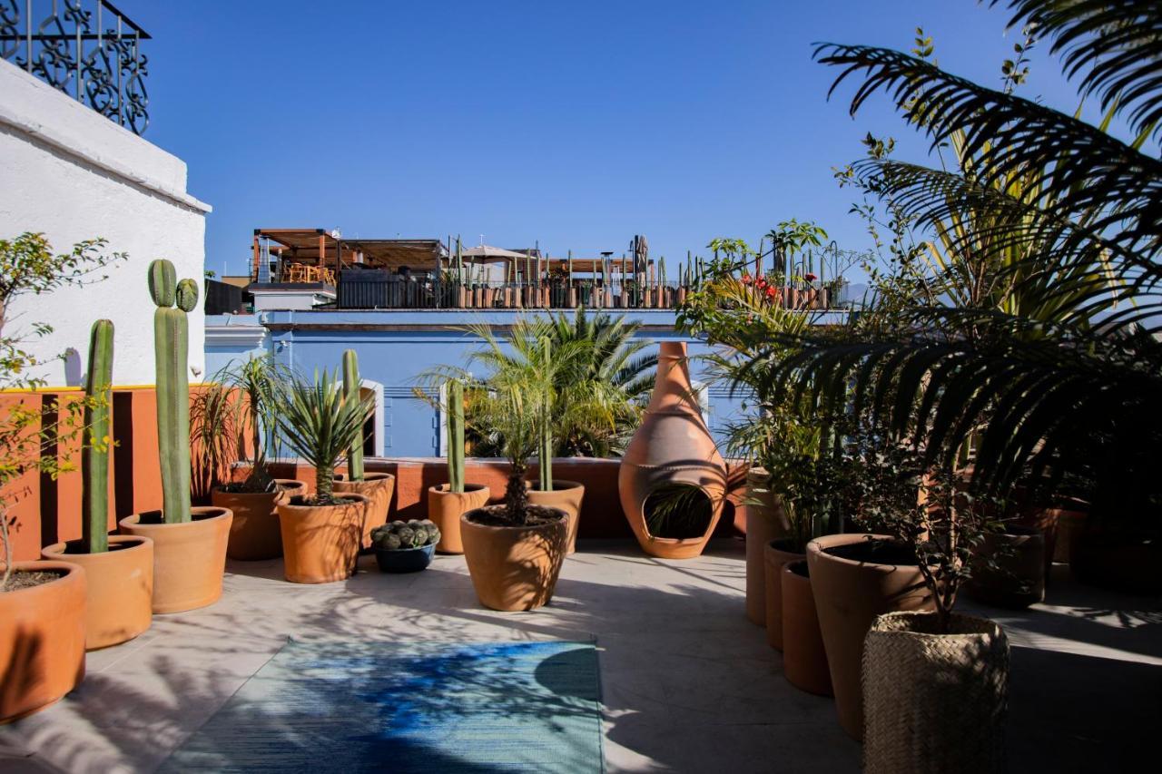 Hotel Los Amantes Oaxaca Eksteriør bilde